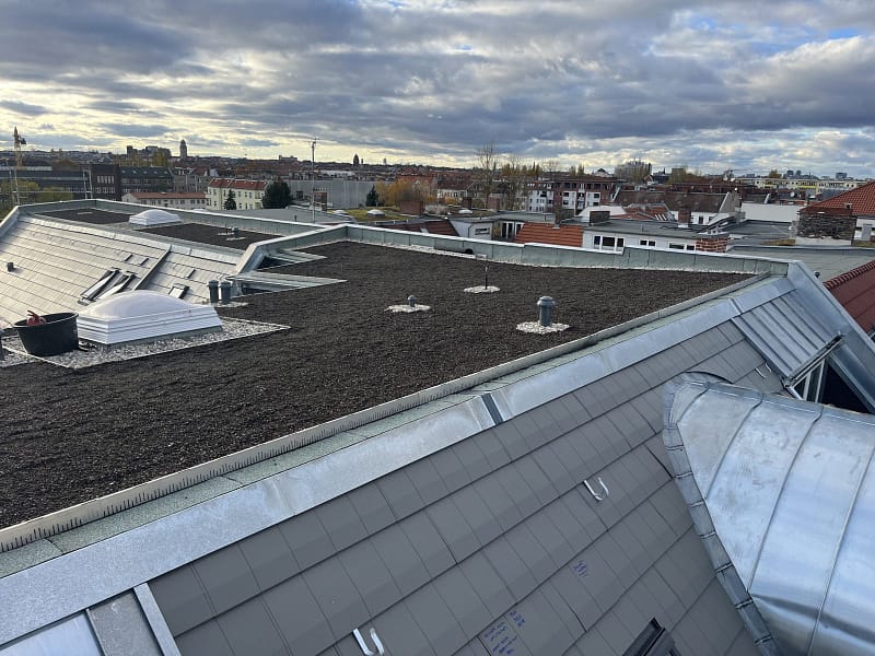 Gründach installieren lassen Berlin